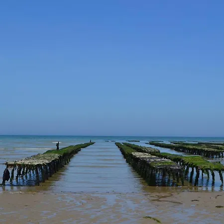 Normandie Cosy Rdc Independant Bien Equipe Dans Maison Confortable Terrasse Grand Jardin Clos Sans Vis A Vis Entre Caen Et Bayeux, Proche Plages Du Debarquement 3*