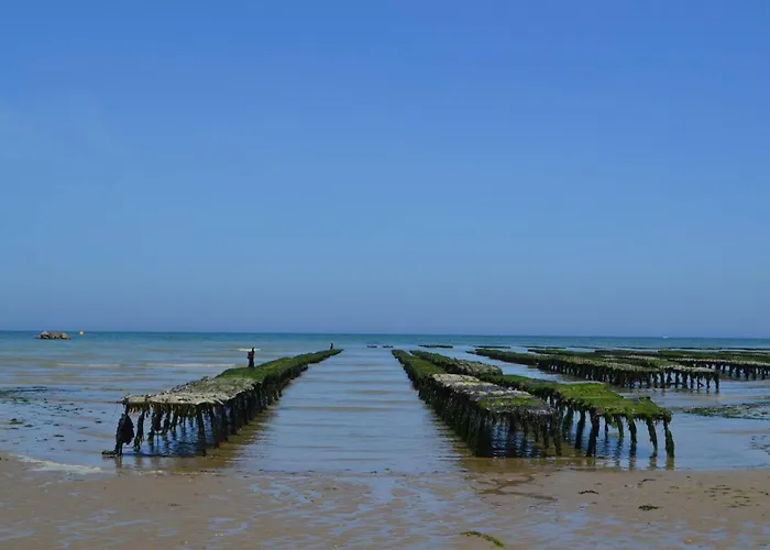 Normandie Cosy Rdc Independant Bien Equipe Dans Maison Confortable Terrasse Grand Jardin Clos Sans Vis A Vis Parking Privatif Entre Caen Et Bayeux, Proche Plages Du Debarquement 3*